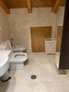 a bathroom with a toilet and a sink at Agarimo das Burgas in Ourense