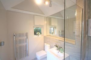 a bathroom with a shower and a toilet and a sink at Yealm Cabin Self Catering Log Cabin in Devon with Hot Tub in Plymouth