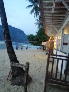 ławka siedząca na plaży obok drzewa w obiekcie ALFA Beach Front Lodge w mieście El Nido