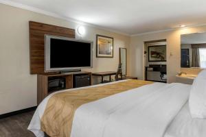 a hotel room with a bed and a flat screen tv at Quality Inn & Suites Ft Jackson Maingate in Columbia