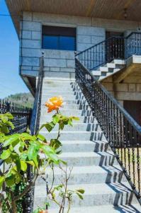 a staircase leading to a house with a orange flower at Casa Ourense Guxinde in Pereira