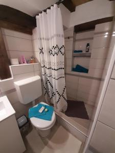 a small bathroom with a toilet and a shower at Apartment Ada bed & breakfast in Gračac