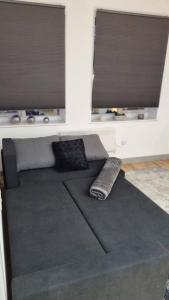 a living room with a couch and two windows at Modern One-bedroom flat in Maidstone in Maidstone