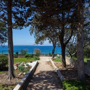 a path with trees and the ocean in the background at Beach House Wild Paradise in Silba