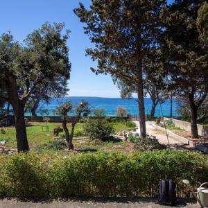 Fotografie z fotogalerie ubytování Beach House Wild Paradise v destinaci Silba