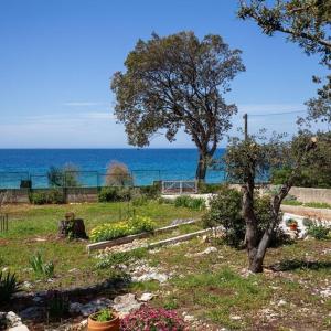 Fotografie z fotogalerie ubytování Beach House Wild Paradise v destinaci Silba