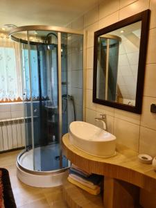 a bathroom with a sink and a shower at Durda in Poronin