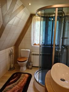 a bathroom with a shower and a toilet and a sink at Durda in Poronin