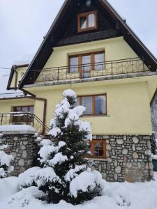 a snow covered tree in front of a house at Durda in Poronin