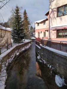Příroda nedaleko apartmánu