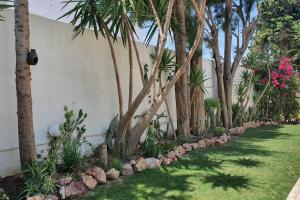a row of palm trees next to a wall at Villa Carthagene /Jacuzzi -swimingpool- Billard in Sidi Daoud