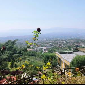 - une vue sur une ville depuis le sommet d'une colline dans l'établissement La Dimora le Fumarole Rooms, à Ercolano