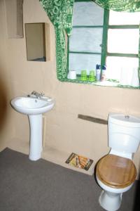 een badkamer met een wastafel, een toilet en een raam bij Karoo Pred-a-tours/Cat Conservation Trust in Cradock