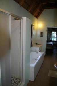 a bathroom with a shower and a bath tub at Karoo Pred-a-tours/Cat Conservation Trust in Cradock