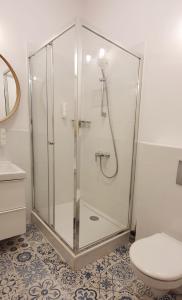 a shower stall in a bathroom with a toilet at Holiday Home Aparthotel 009 in Międzyzdroje