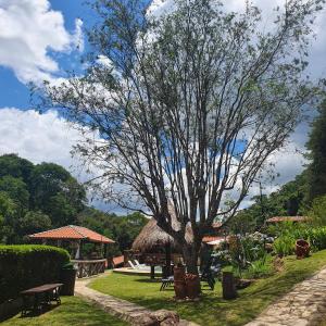 a tree in the middle of a grassy yard at Pousada do Coura in Pouso Alto