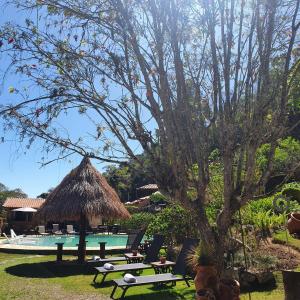 a resort with a pool and a tree and chairs at Pousada do Coura in Pouso Alto