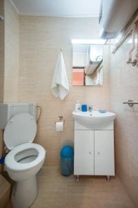 a bathroom with a toilet and a sink at Garsonierele Alexandru in Saturn