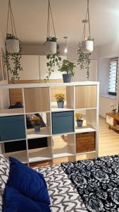 um quarto com uma cama e prateleiras com vasos de plantas em Apartament Granatowy Świętoduska 12 em Lublin