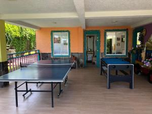 a room with two ping pong tables in it at Encanto Cafetero Montenegro in Pueblo Tapao