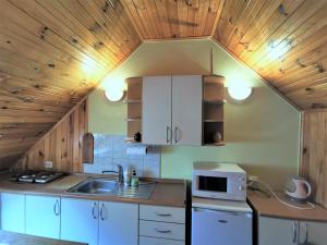 a kitchen with a sink and a wooden ceiling at Apartamentai Vasara in Juodkrantė