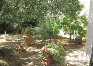 Vonkajšia záhrada v ubytovaní Studio apartment in Porec with balcony, air conditioning, WiFi 4676-6