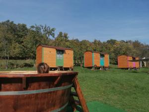 a group of tiny houses sitting in a field at Poiana Stelelor 