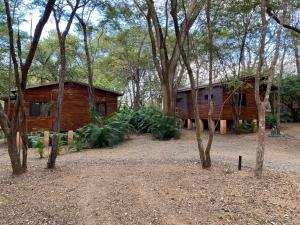 una cabaña de madera en medio de un bosque en CASA NATURAL, en Brasilito