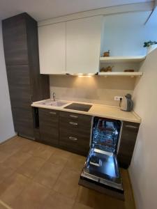 a kitchen with a dishwasher and a sink in it at Apartment Pusynas in Nida