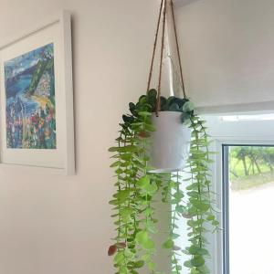 Billede fra billedgalleriet på Sunnyside at Scurlage Farm i Swansea