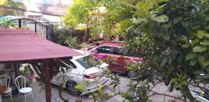 Zahrada ubytování Trăng Non House