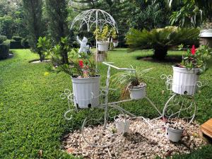 um suporte de jardim com vasos de plantas num quintal em Rancho Jacob By Hospedify Preciosa Villa campestre con un amplio patio hermoso jardín cómodo gazebo y piscina em Jarabacoa