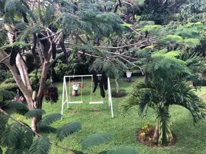 um baloiço no meio de um jardim com árvores em Rancho Jacob By Hospedify Preciosa Villa campestre con un amplio patio hermoso jardín cómodo gazebo y piscina em Jarabacoa