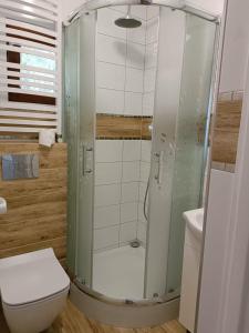 un baño con ducha y WC en DOMEK Zielona Oaza, en Polanica-Zdrój 32 fotos más