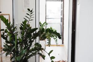Fotografie z fotogalerie ubytování Fortuna Homestay v Hanoji