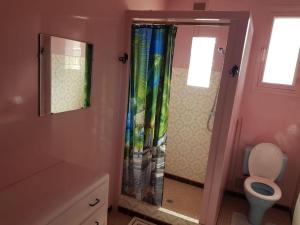 ein Bad mit Dusche, WC und Fenster in der Unterkunft La Grimpette in Châtillon-en-Bazois