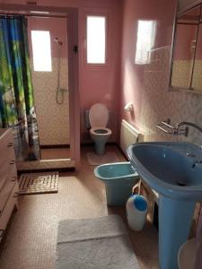 ein Badezimmer mit einem blauen Waschbecken und einem WC in der Unterkunft La Grimpette in Châtillon-en-Bazois