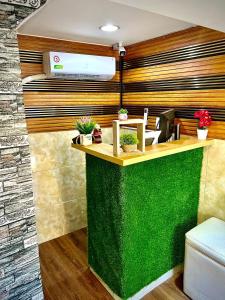 a bathroom with a green counter with plants on it at Hotel Dubaird in Santo Domingo
