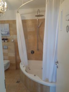a bathroom with a shower with a tub and a toilet at Naomi's in Rosh Pinna