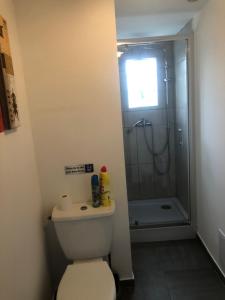 ein Bad mit einem WC und einer Dusche in der Unterkunft Appartement cosy proximité plage Malo les bains in Dunkerque