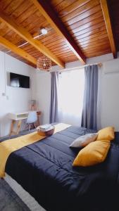 a bedroom with a large bed and a large window at Hotel Alta Mendoza in Mendoza