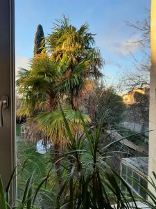 a palm tree is seen through a window at Maison Saint James in Montélimar