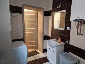 a bathroom with a sink and a toilet and a mirror at Noclegi Leśna in Leśna