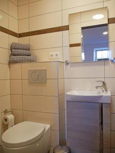 W łazience znajduje się toaleta, umywalka i lustro. w obiekcie Pferdestall w mieście Grömitz
