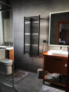 a bathroom with a sink and a toilet and a mirror at InMount in Tatariv +23 photos