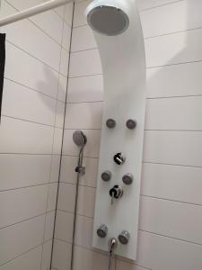 ein Bad mit einer Dusche mit einem Duschkopf in der Unterkunft Andris Apartments in Stuttgart