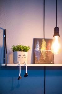 Ảnh trong thư viện ảnh của Angelina Apartment ở Bitola +19 ảnh