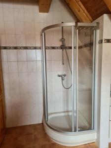 a shower with a glass door in a bathroom at Ferienwohnung Helga in Thalmässing