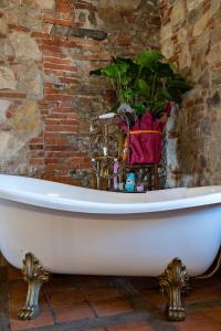 Fotografie z fotogalerie ubytování Luxury Corte Di Re Artù v destinaci Lucca