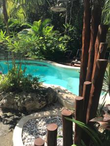 a swimming pool in the middle of a garden at VerdeAmar Eco Lodge Jungle Retreat in Chemuyil